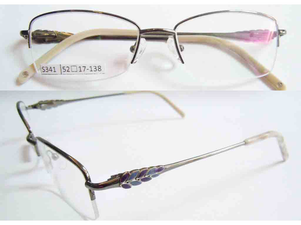 S341 Stainless Steel Spectacle Frame