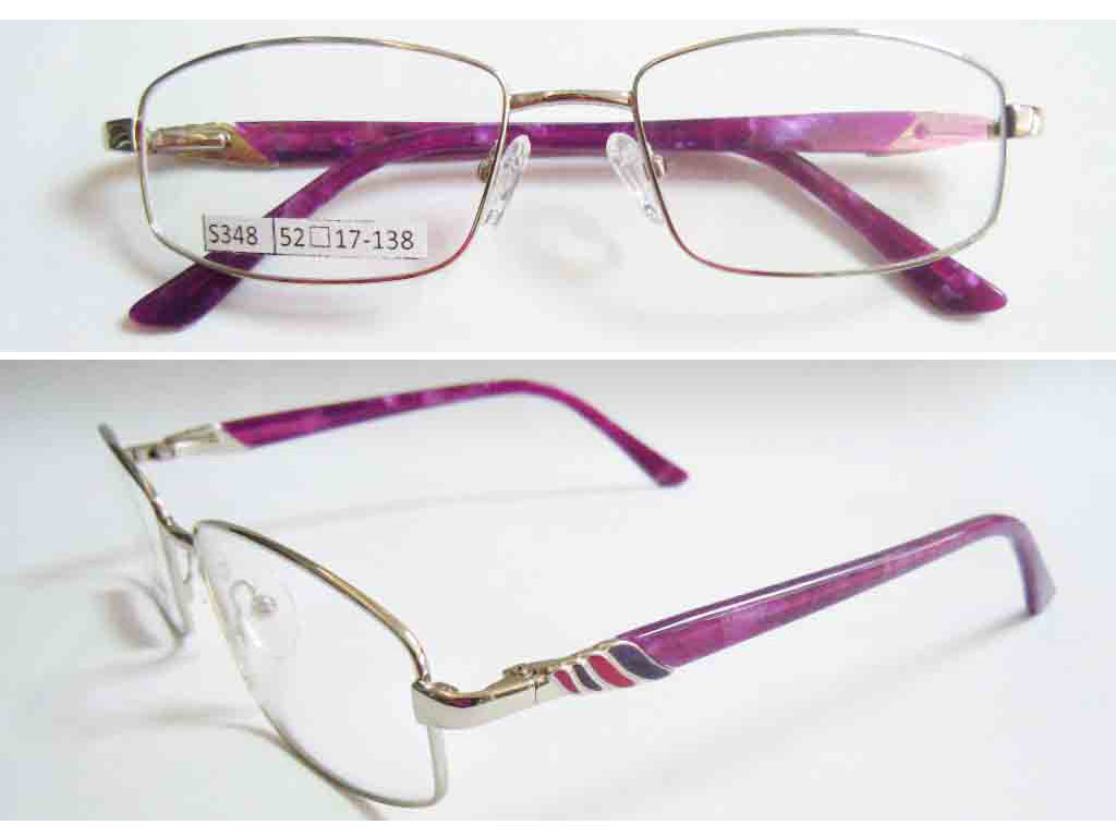 S348  Stainless Steel Spectacle Frame