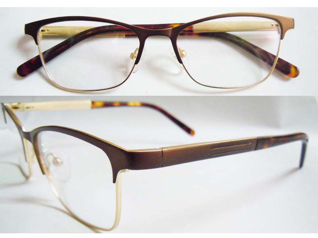 S387 Stainless Steel Spectacle Frame