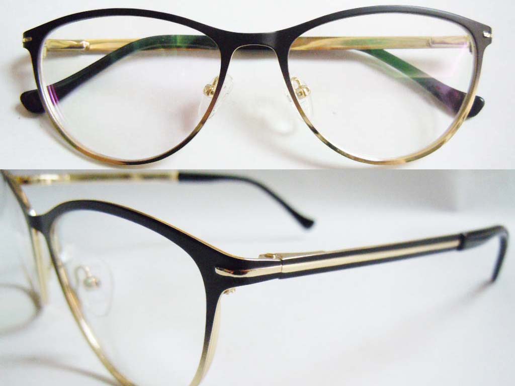 S388 Stainless Steel Spectacle Frame