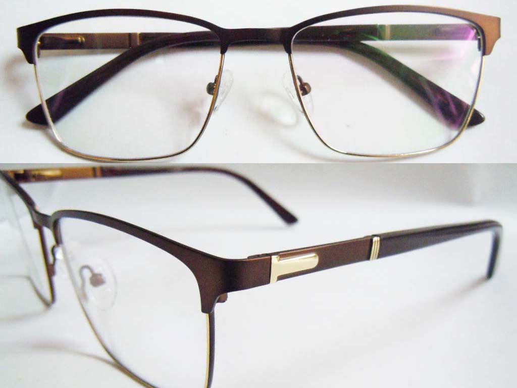 S389 Stainless Steel Spectacle Frame