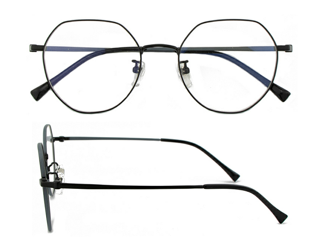 T169  Pure Titanium Eyeglass Frame