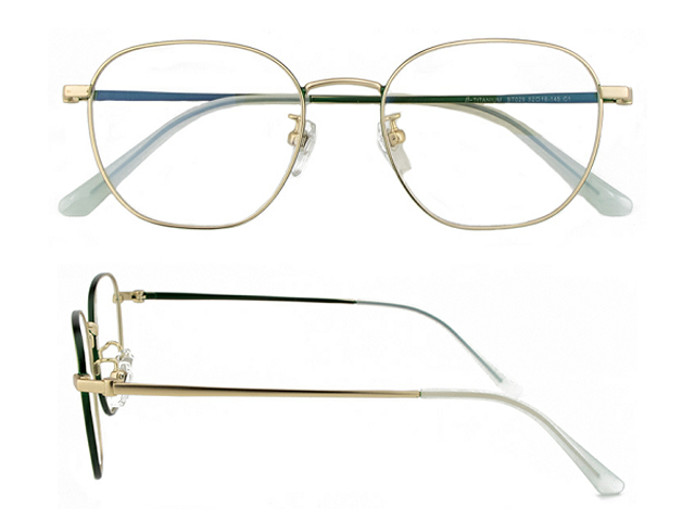 T171  Pure Titanium Eyeglass Frame