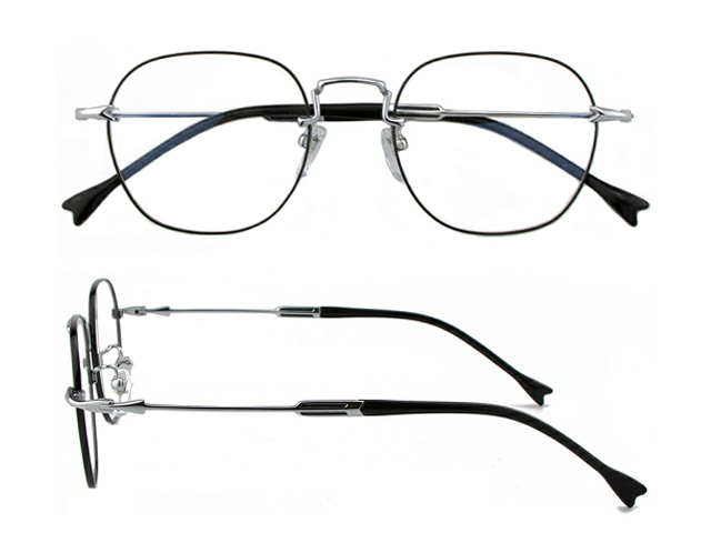 T172  Pure Titanium Eyeglass Frame