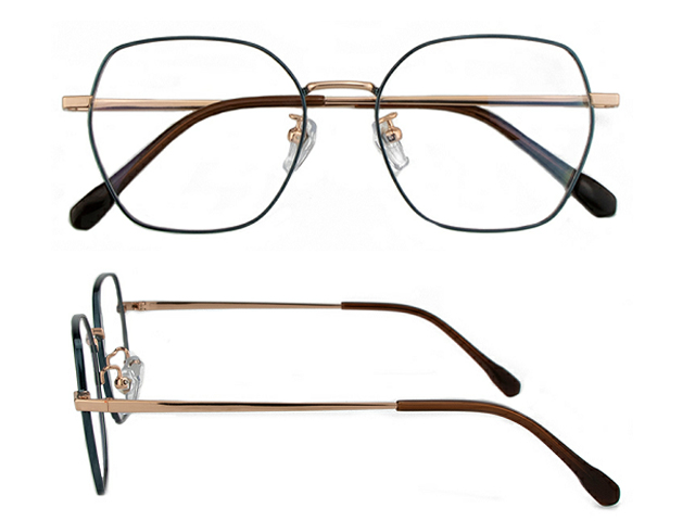 T175  Pure Titanium Eyeglass Frame