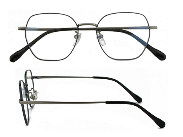 T176  Pure Titanium Eyeglass Frame