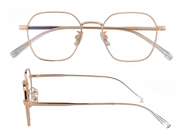 T179  Pure Titanium Eyeglass Frame