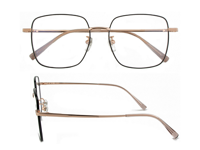 T182  Pure Titanium Eyeglass Frame